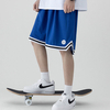 Shorts de malha personalizados dos fabricantes, shorts de basquete superdimensionados leves de ver&atilde;o, shorts de malha masculinos